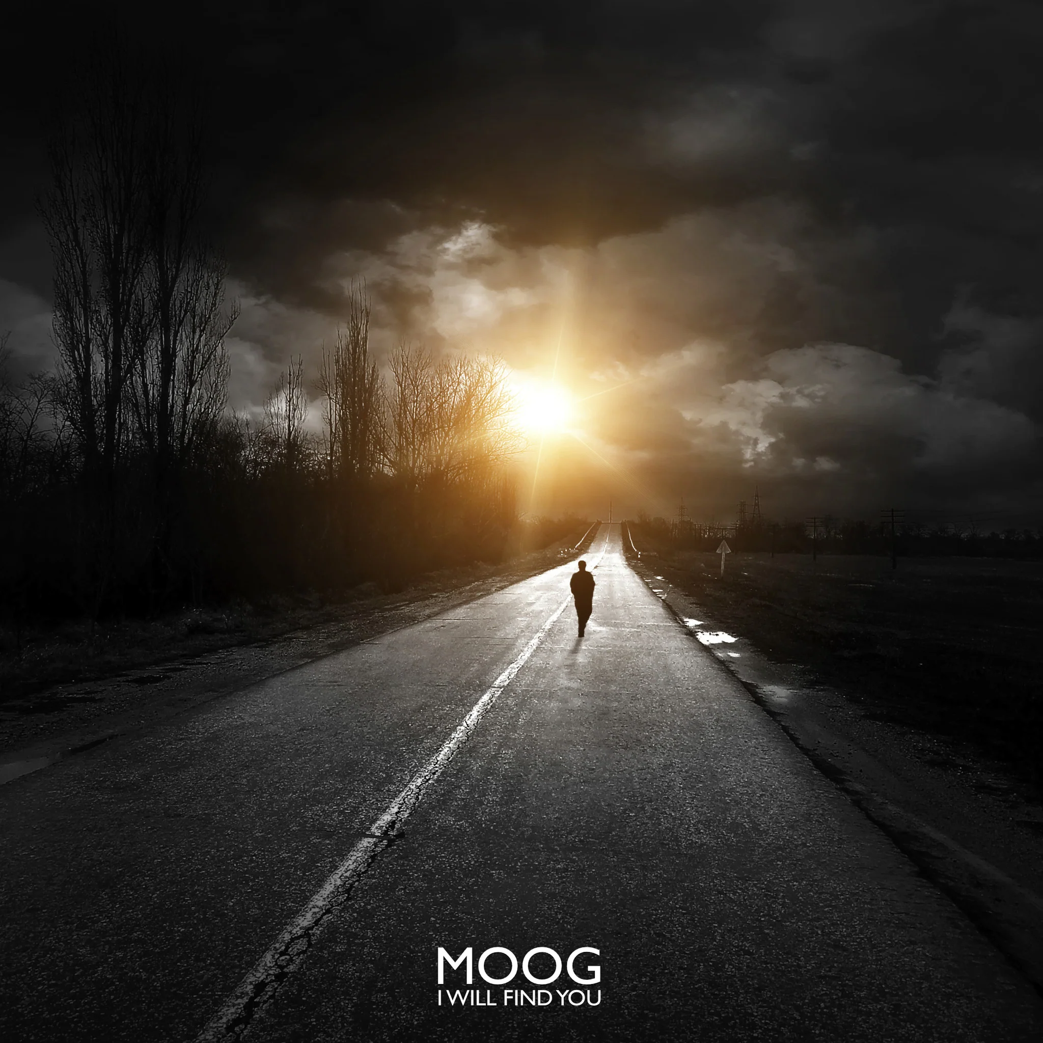 MOOG Singles (Boosted Multipack) - Image 3